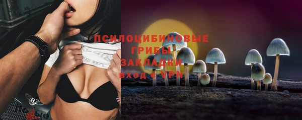 spice Алексин