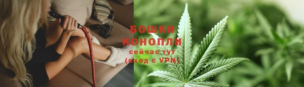 spice Алексин