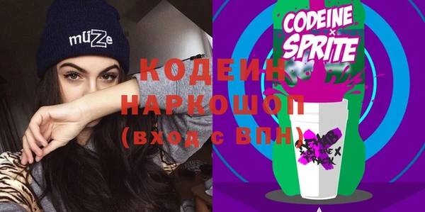 индика Заволжск
