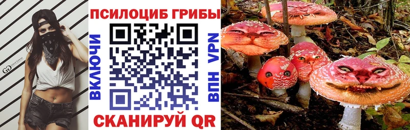 Псилоцибиновые грибы Psilocybine cubensis  кракен как зайти  Чёрмоз  как найти наркотики 
